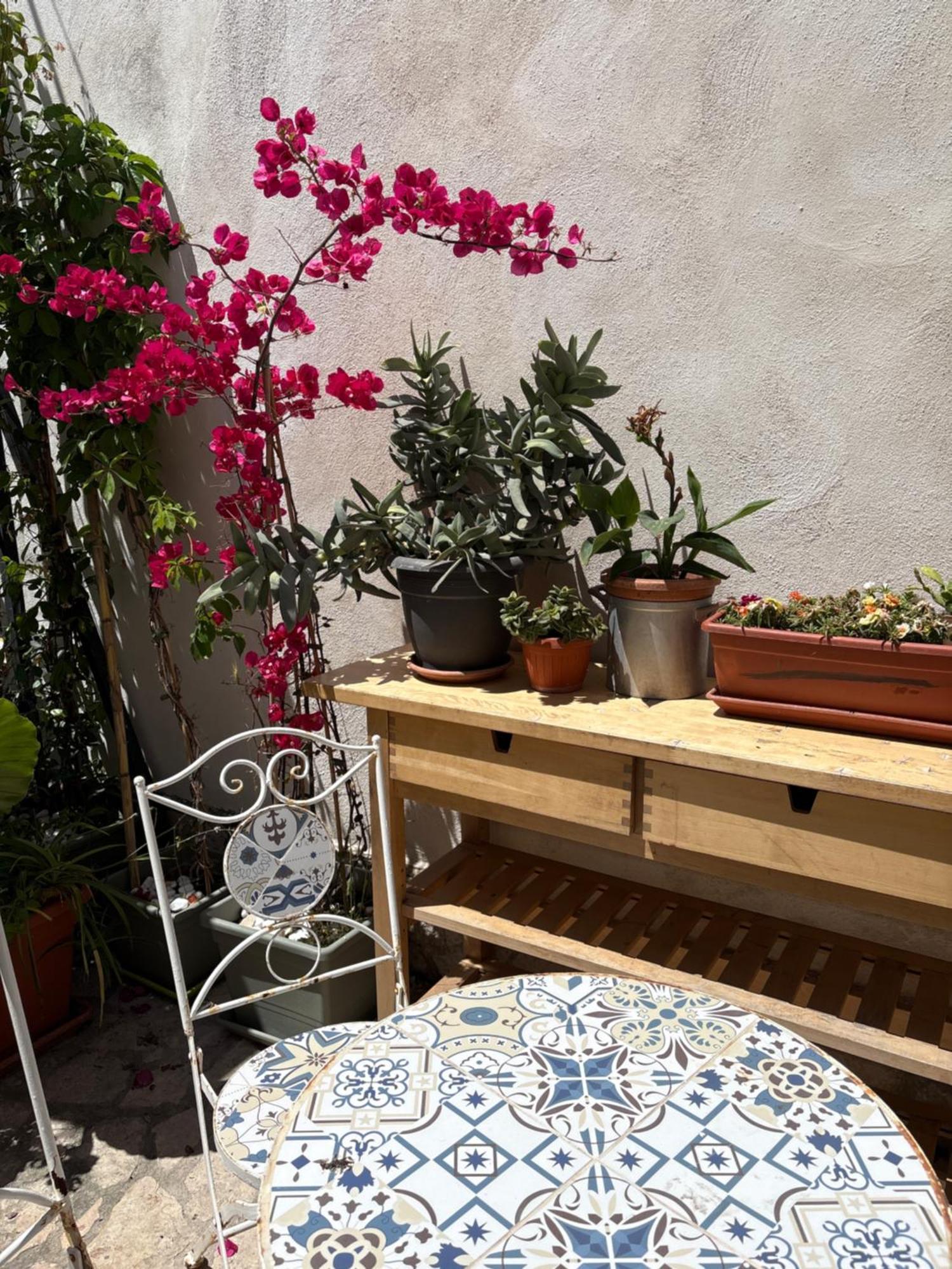 Il Giardino Dei Limoni Hotell Vieste Eksteriør bilde