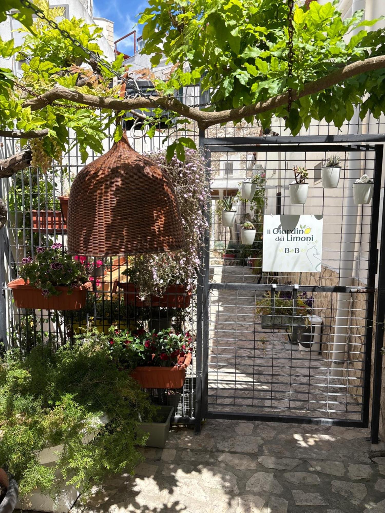 Il Giardino Dei Limoni Hotell Vieste Eksteriør bilde